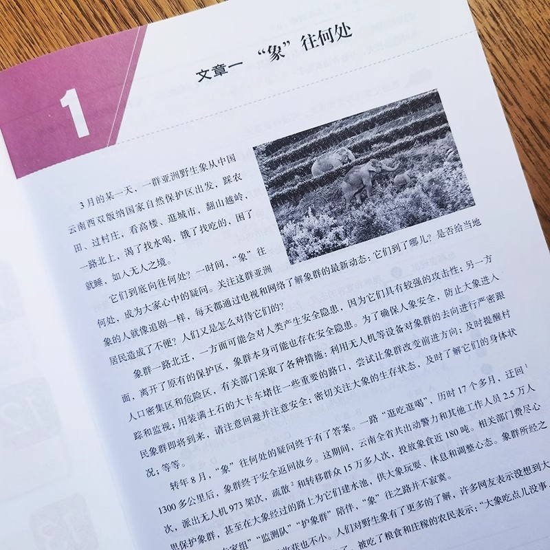 ȯŸ������軰�ǡ�-������2 