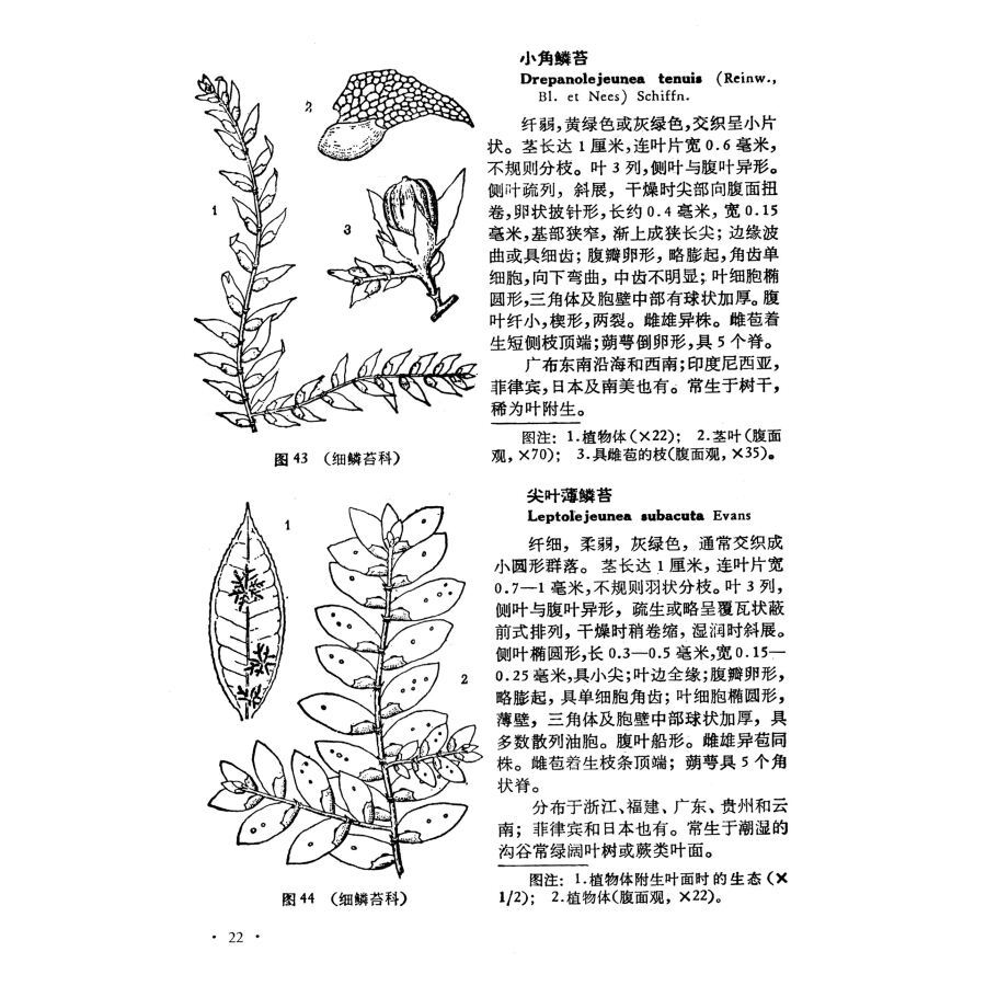 ��������ʪ�̿��޴ա���������