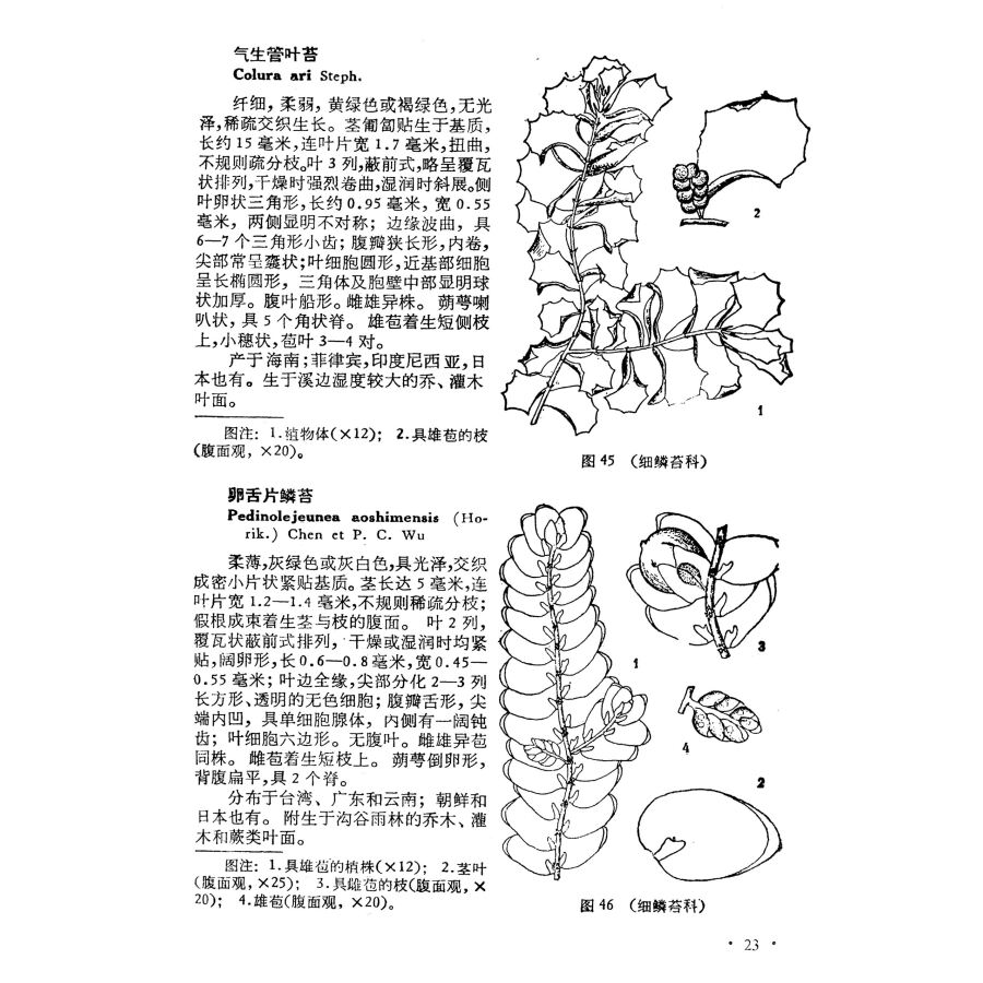 ��������ʪ�̿��޴ա���������