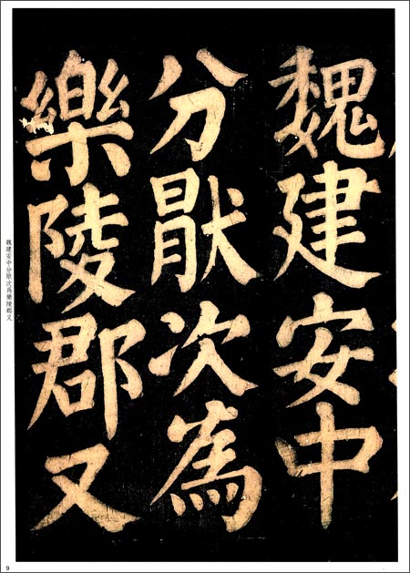 �鿿���������軿-�̿������������̾��ġ