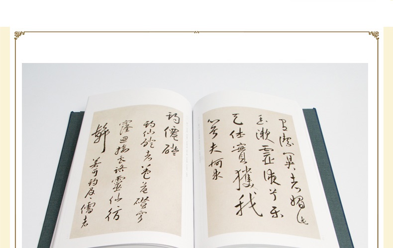 Ȭ�绳��������è���ǡˡ���5��)