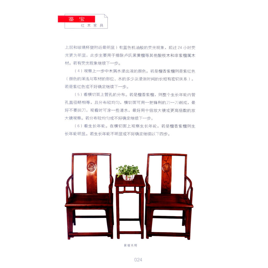 ���� ���ڲȶ�������¢������ŵ