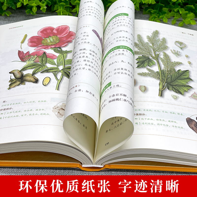 ����ŵ�̿��޲� ���¾��� 